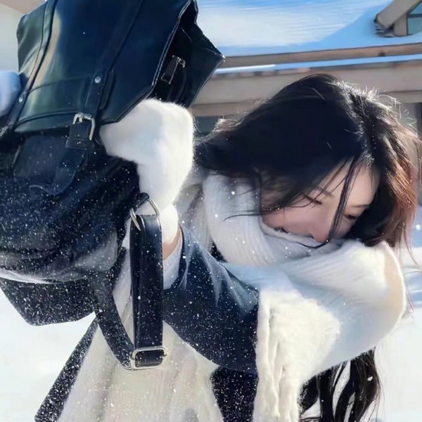 飞女刑事 代号：麻宫咲